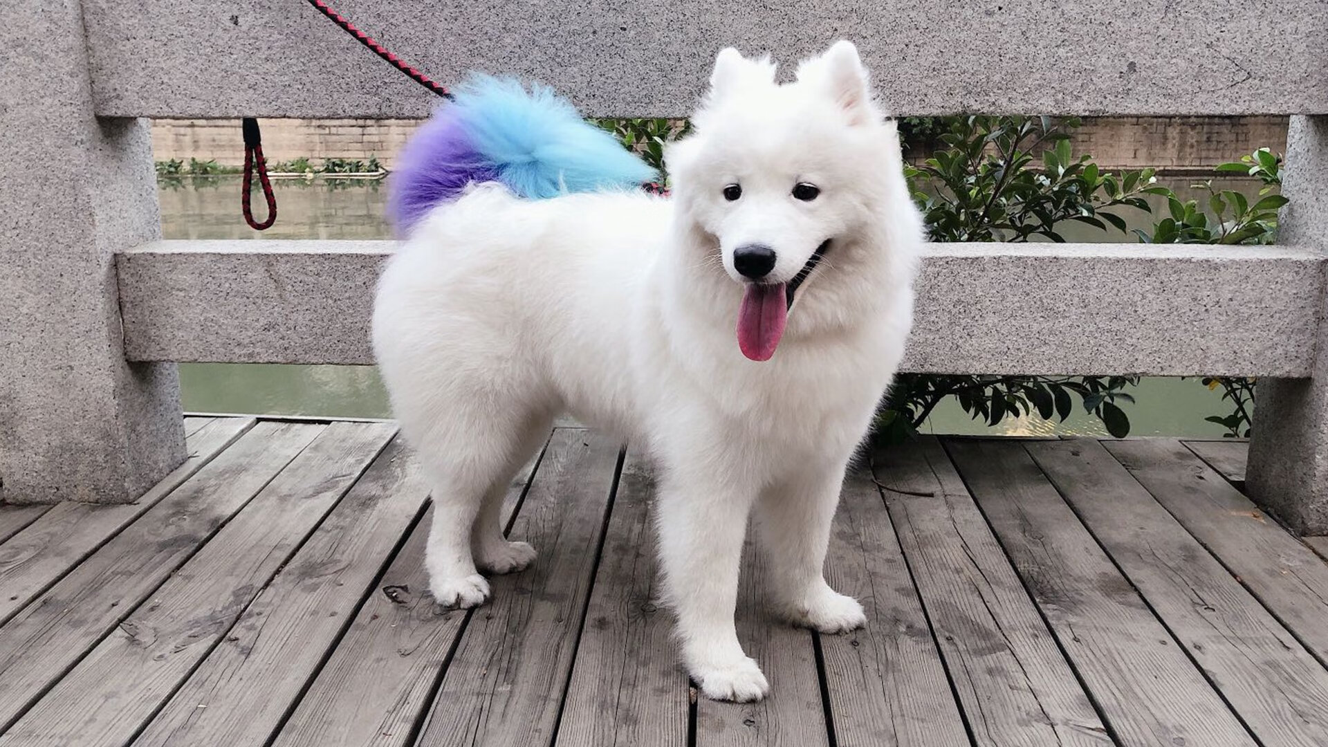 开云网页-5大最著名欧冠胜利瞬间，永远铭记心中，欧冠全胜夺冠