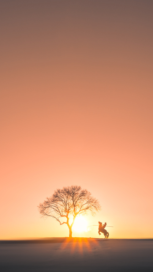 开云体育在线登入-_酷炫霓虹滑板：城市夜行的时尚运动_，滑板 炫酷