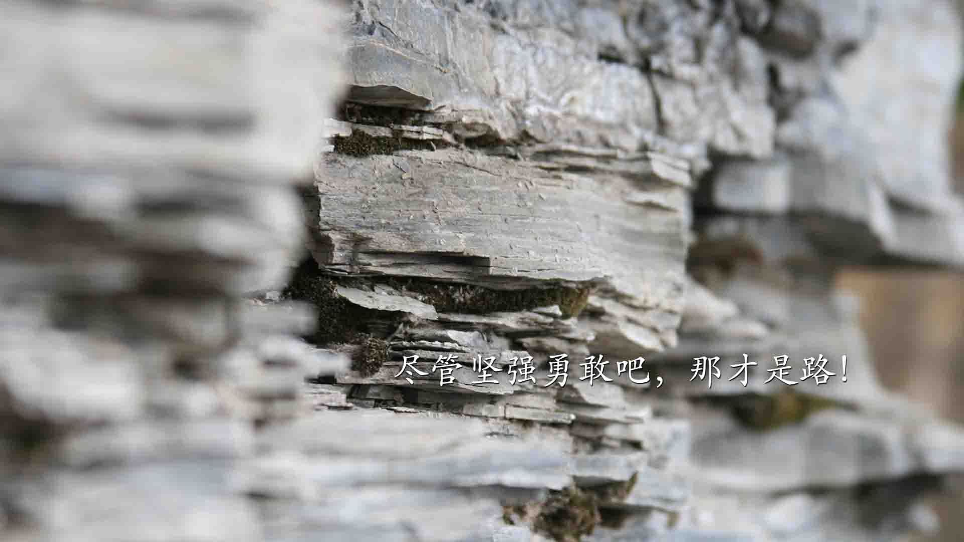 开云体育官方下载-《国内外电竞大赛全揭秘：谁主沉浮？》，电竞赛事排名